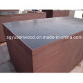 1220 * 2440mm WBP Constuction Film Faced Plywood